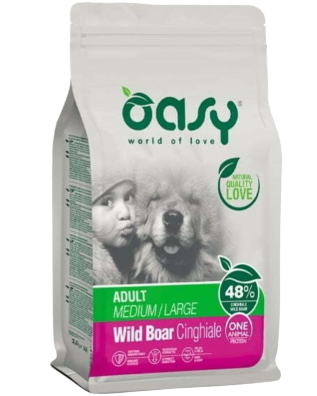 אואסי חזיר בר לכלב בינוני או גדול