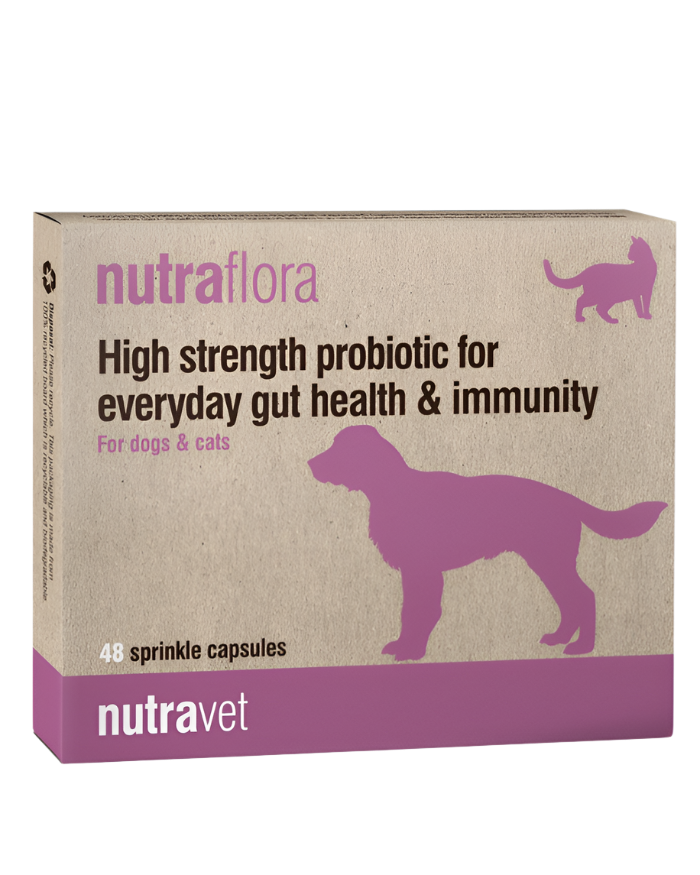 נוטרה-וט קפסולות פרוביוטיקה (48 קפסולות)