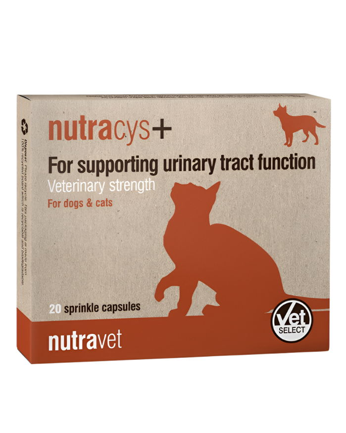 נוטרה-וט קפסולות תמיכה בדרכי השתן (20 קפסולות)