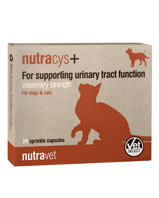 נוטרה-וט קפסולות תמיכה בדרכי השתן (20 קפסולות)