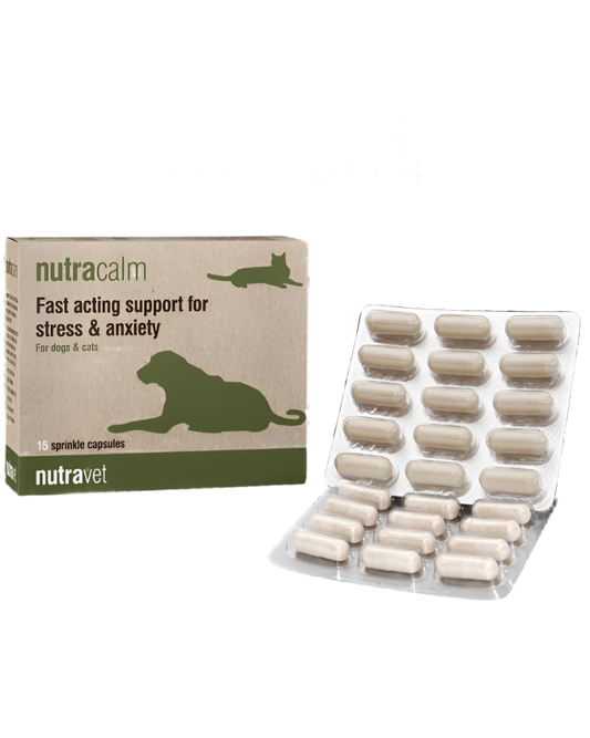 נוטרה-וט נוטרה קאלם (15 קפסולות)