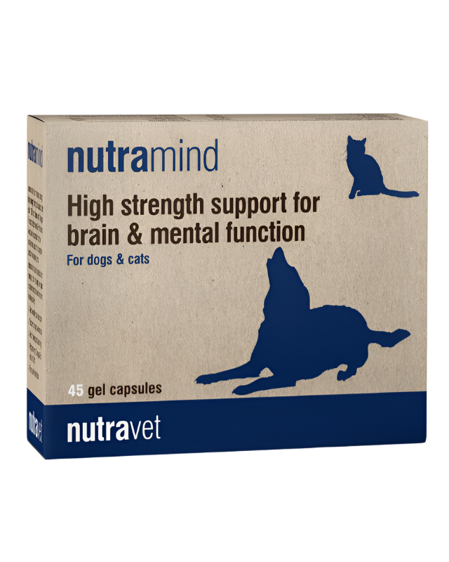 נוטרה-וט קפסולות תמיכה קוגניטיבית